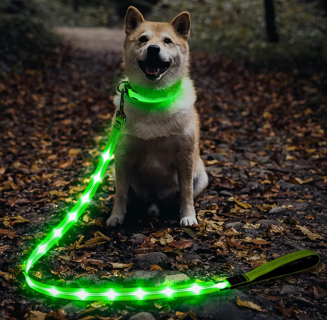 BrightLine Pro Leash