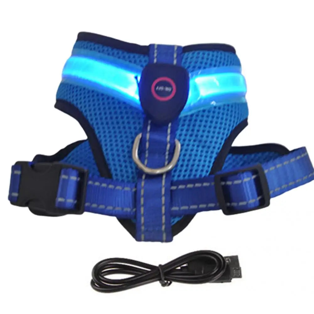 NightGlow Pro Harness