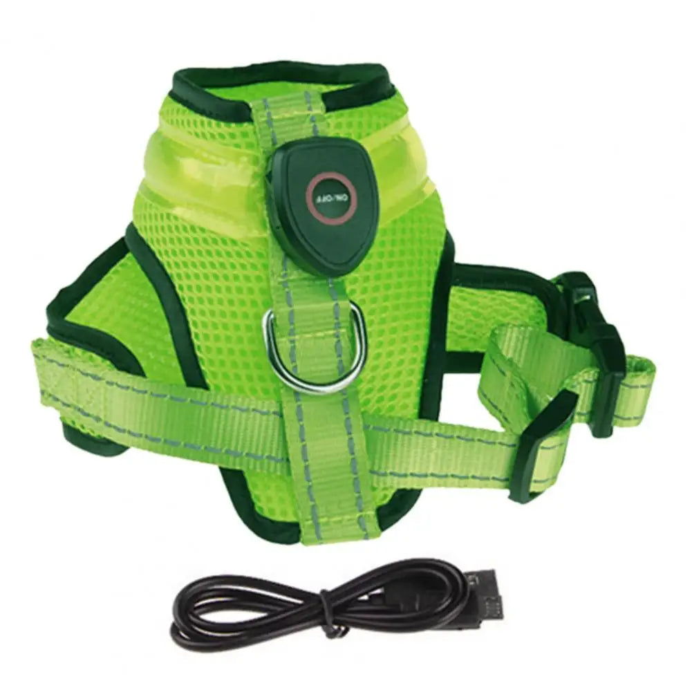 NightGlow Pro Harness