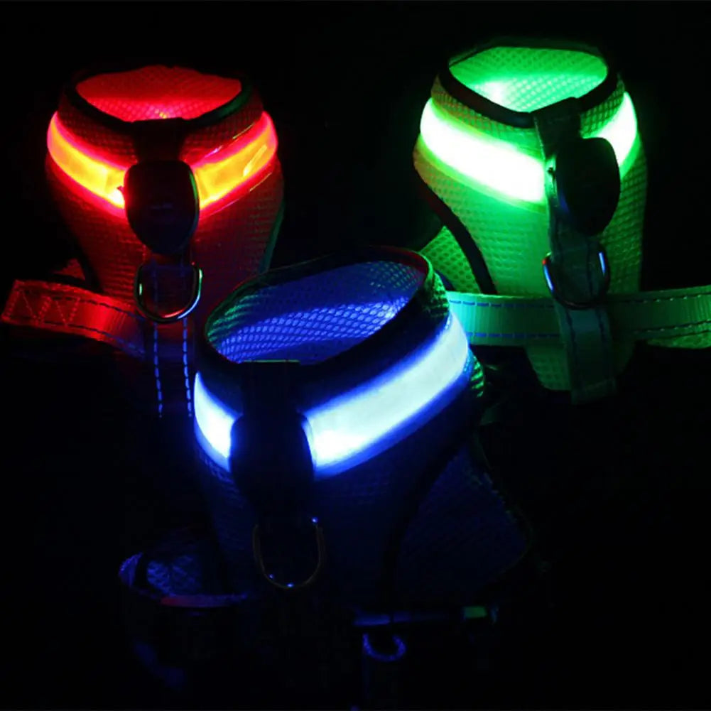 NightGlow Pro Harness