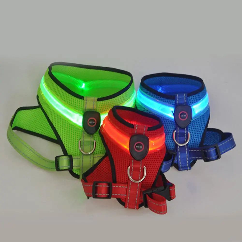 NightGlow Pro Harness