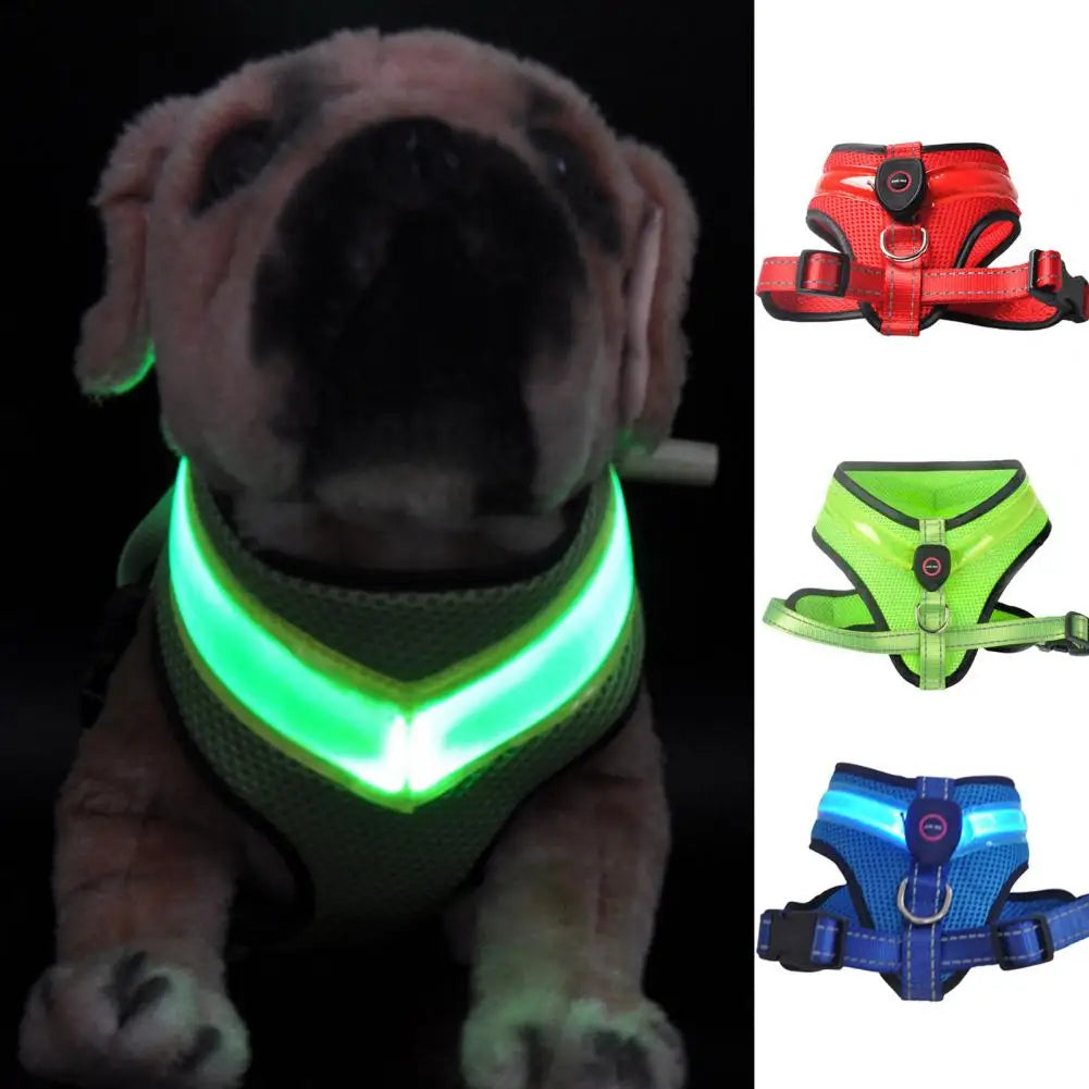 NightGlow Pro Harness