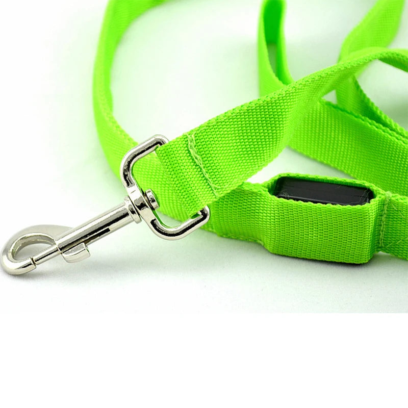 BrightLine Pro Leash