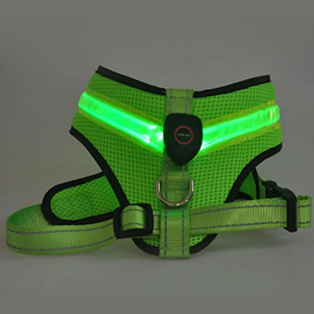 NightGlow Pro Harness