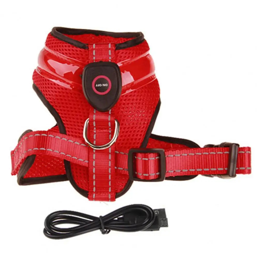 NightGlow Pro Harness