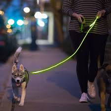 BrightLine Pro Leash