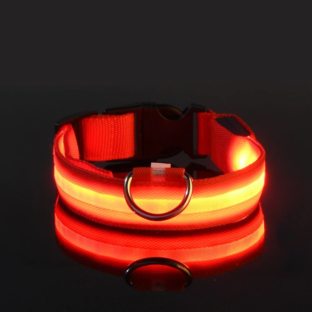 PawGlow Pro Collar