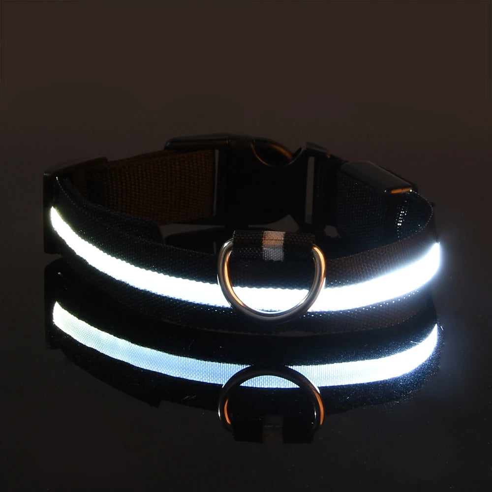 PawGlow Pro Collar