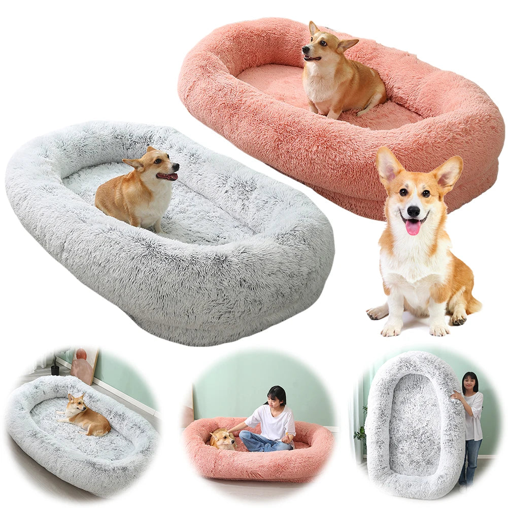 PawLuxe Comfort Bed