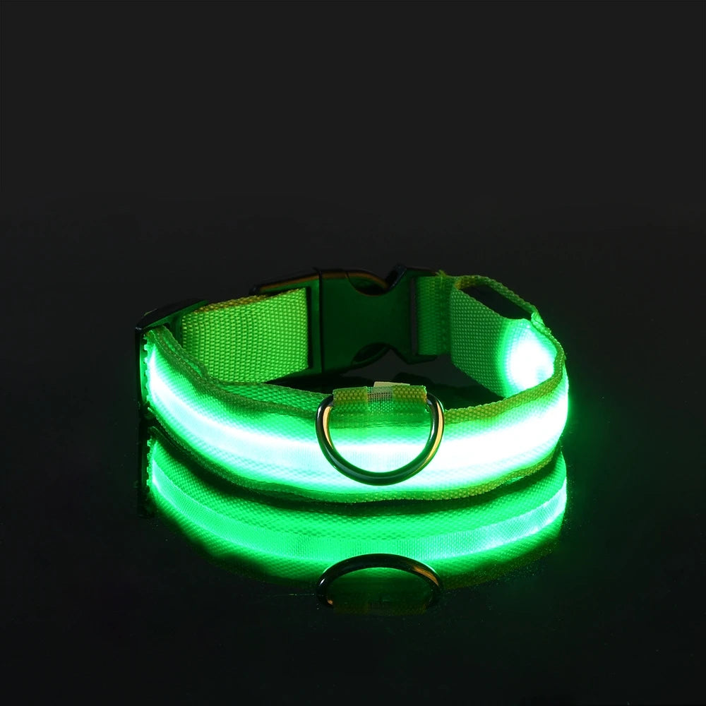 PawGlow Pro Collar