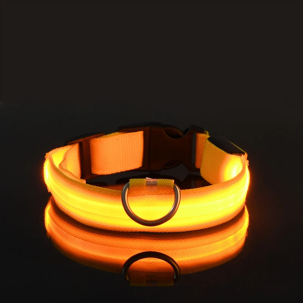 PawGlow Pro Collar