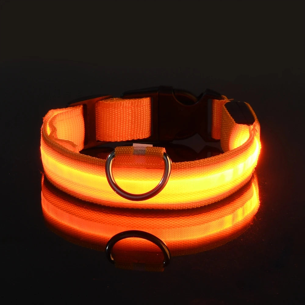 PawGlow Pro Collar