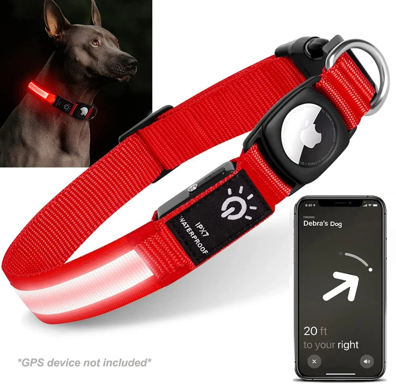 Track & Glow Pro Collar