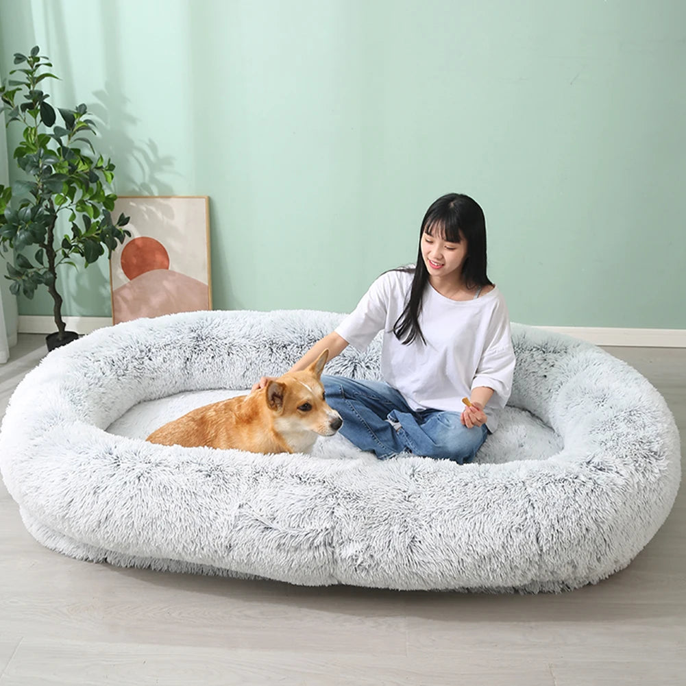 PawLuxe Comfort Bed