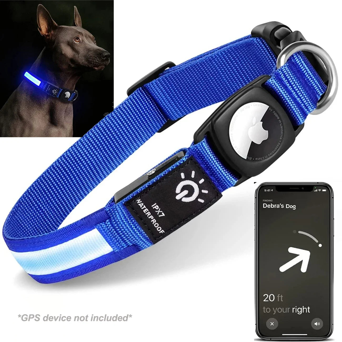 Track & Glow Pro Collar