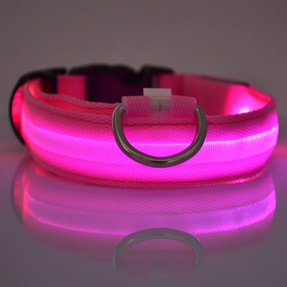 PawGlow Pro Collar