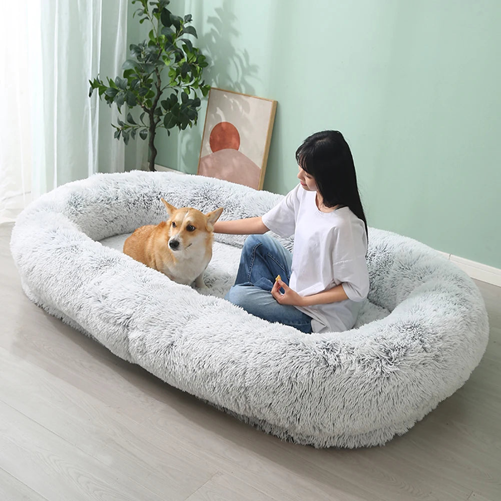 PawLuxe Comfort Bed