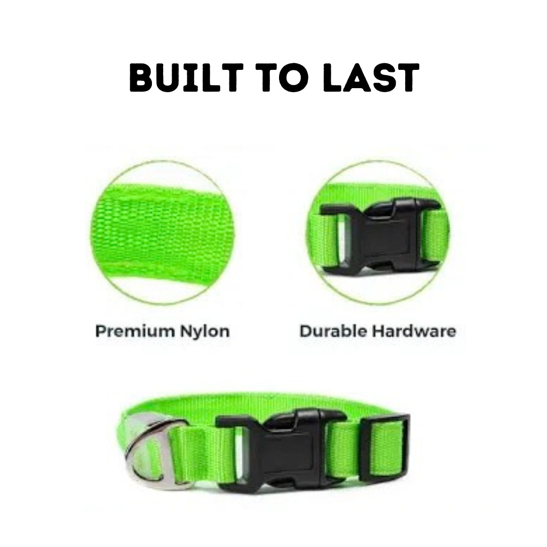 PawGlow Pro Collar