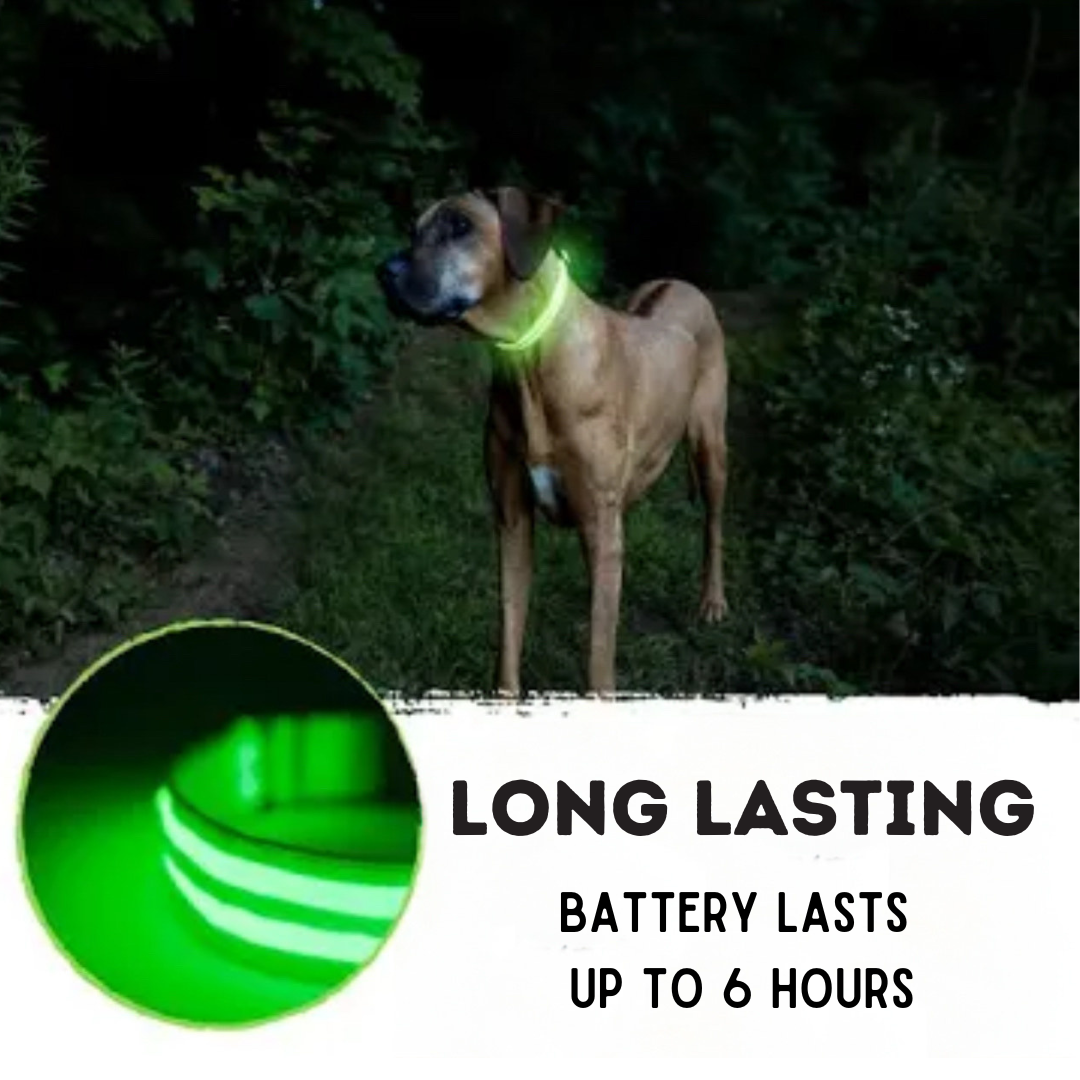 PawGlow Pro Collar